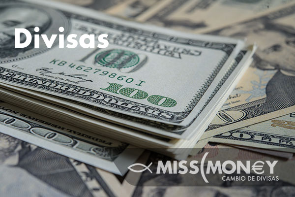 home_miss_money_05